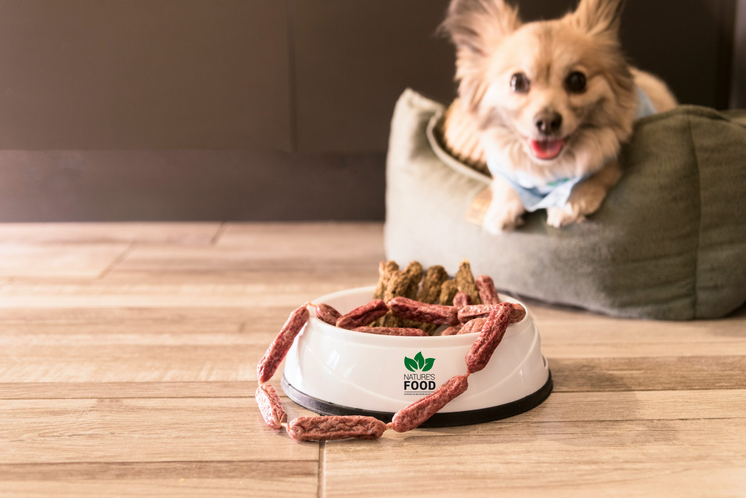 ¿Croquetas o dieta BARF para un cachorro? Una reflexión personal